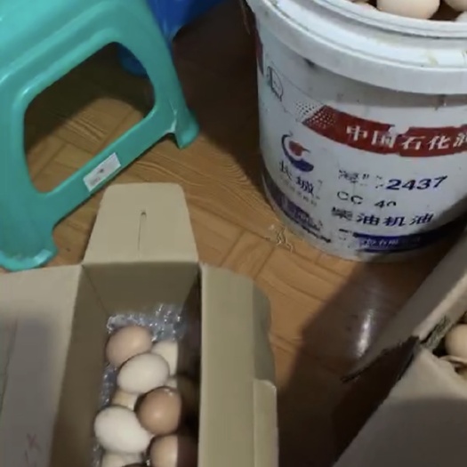 合肥土鸡蛋 食用 散装