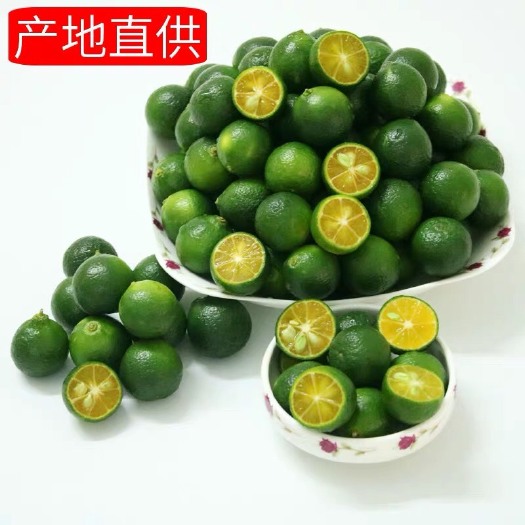 文昌市青金桔 海南青金桔 大量有货，欢迎老板们联系
