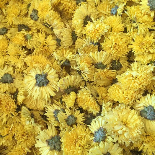 武汉婺源皇菊 一级 散装
