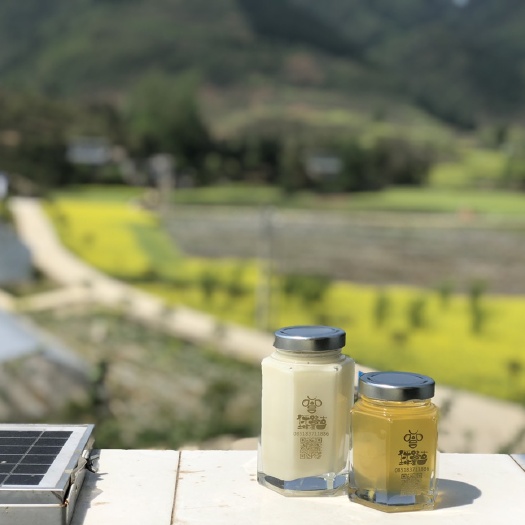 纳雍县油菜蜜 玻璃瓶装 2年以上 95%以上