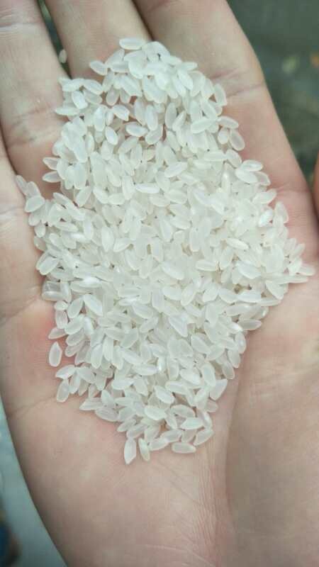 稻花香二号大米 一等品 一季稻 粳米
