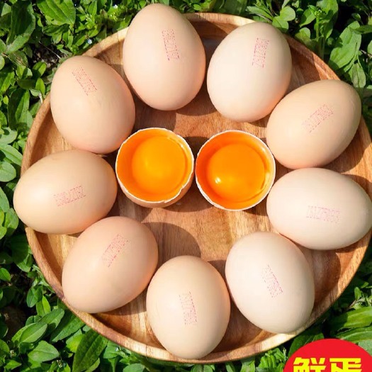 乐清市土鸡蛋 食用 礼盒装