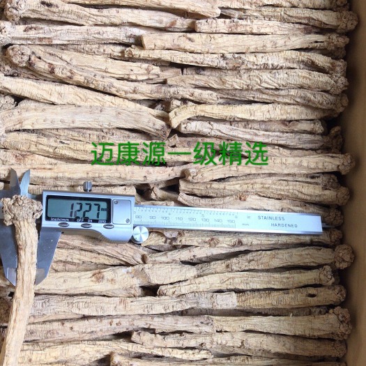 文县纹党参 西党