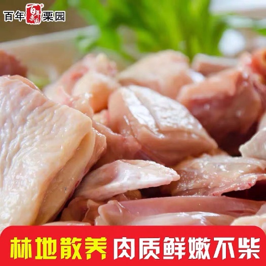 乐清市鸡肉类 新鲜