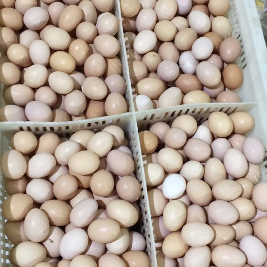 岑溪市三黄鸡蛋 食用 箱装