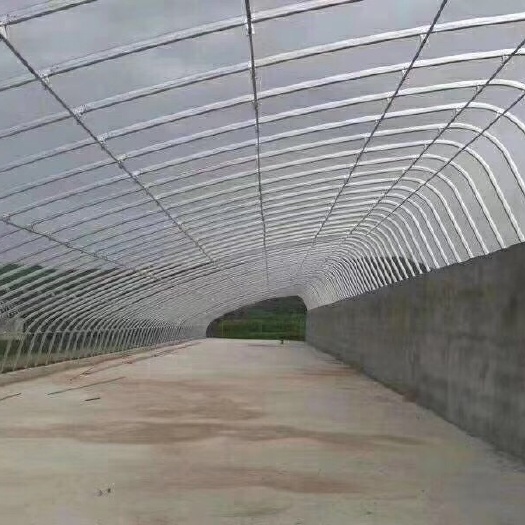 沭阳县蔬菜大棚 三两个人挂在一根管上都没问题的大棚