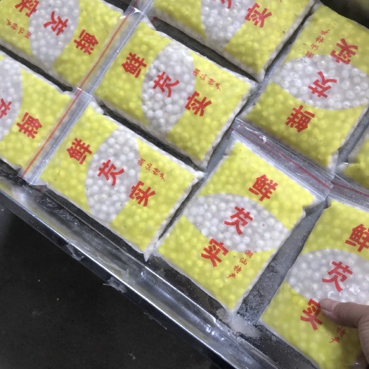 潮州芡实