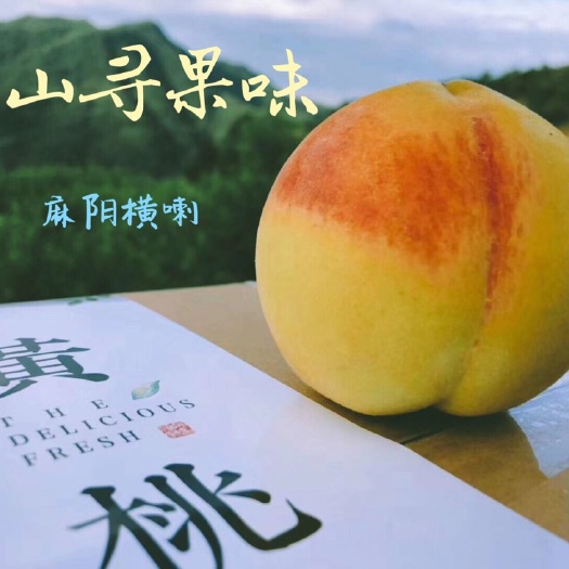 麻阳县 顺丰一件代发湖南麻阳正宗横喇黄桃