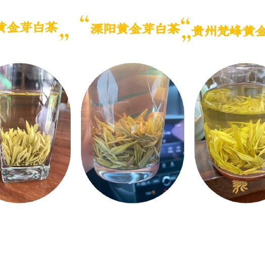 无锡黄金芽 一级 散装