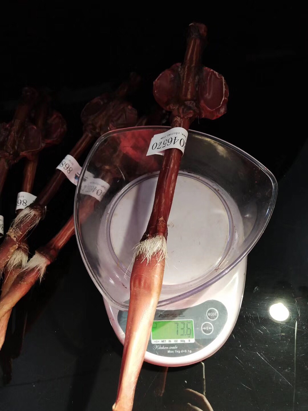 牛鞭 （梅花鹿鞭）关注店铺有惊喜