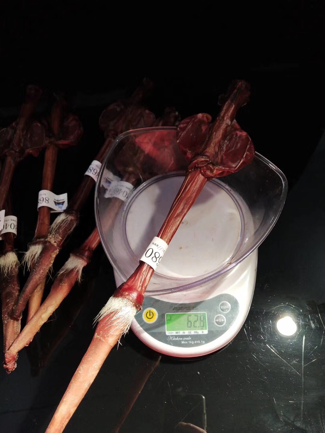 牛鞭 （梅花鹿鞭）关注店铺有惊喜