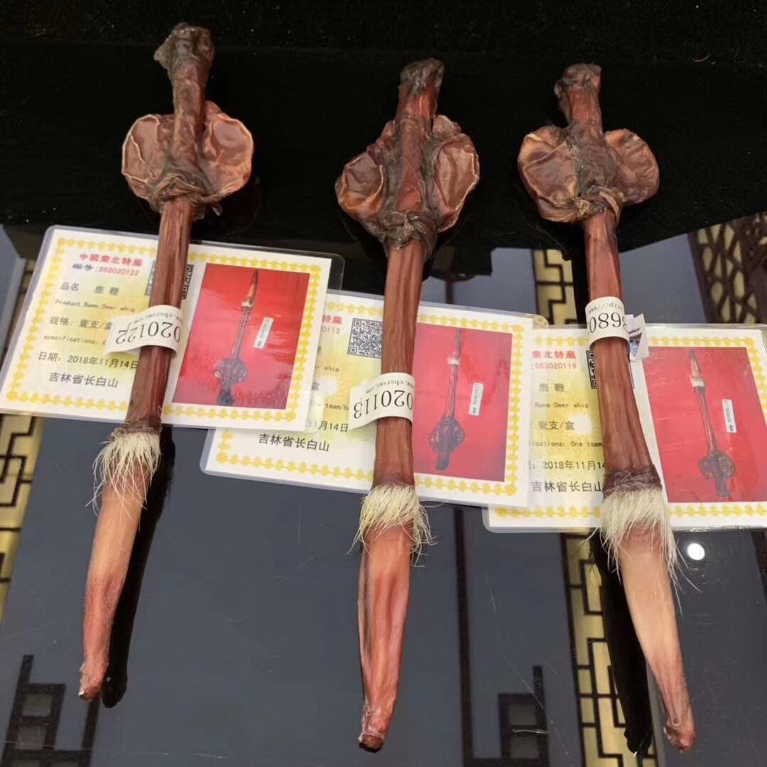 牛鞭 （梅花鹿鞭）关注店铺有惊喜