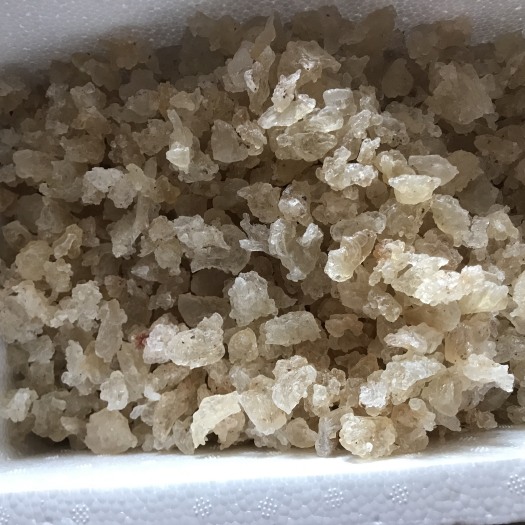 潮州雪燕