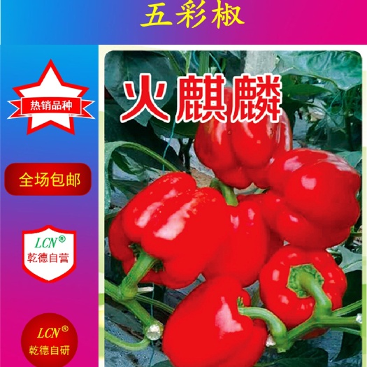 寿光市乾德火麒麟 杂交种 ≥85%