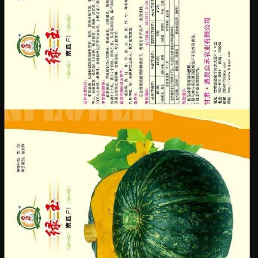 酒泉圆南瓜种子 97%