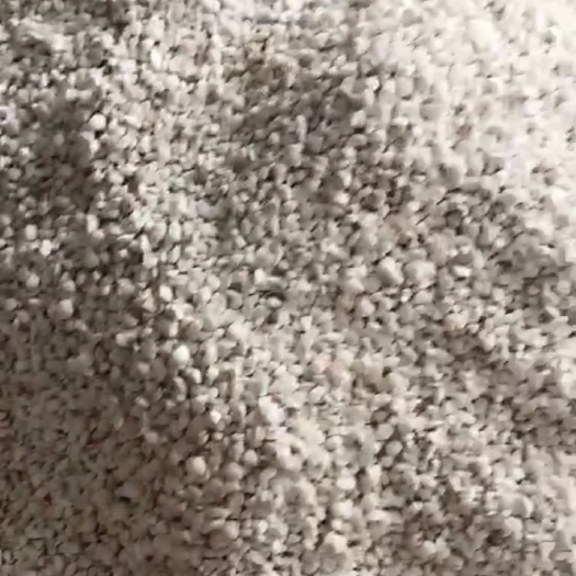 潮州芡实 片