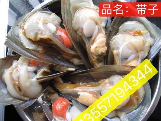 南宁带子