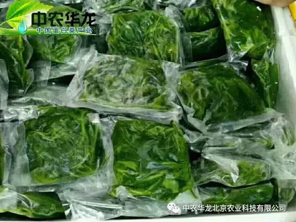 蛋白质饲料