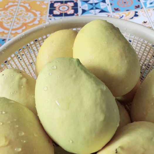 芒市圣德龙 4两以上