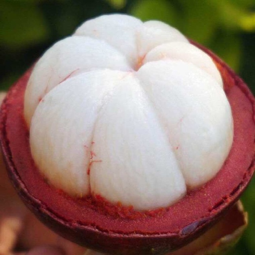 昆明泰国山竹