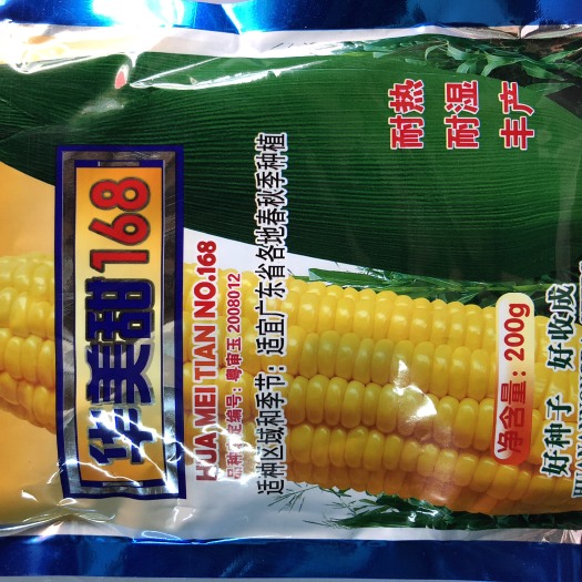 广东华南农大华美甜168超甜玉米种子