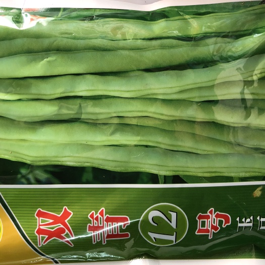 平远县四季豆种子  广东省农科院粤科双青12号四季豆玉豆种子 袋装400克
