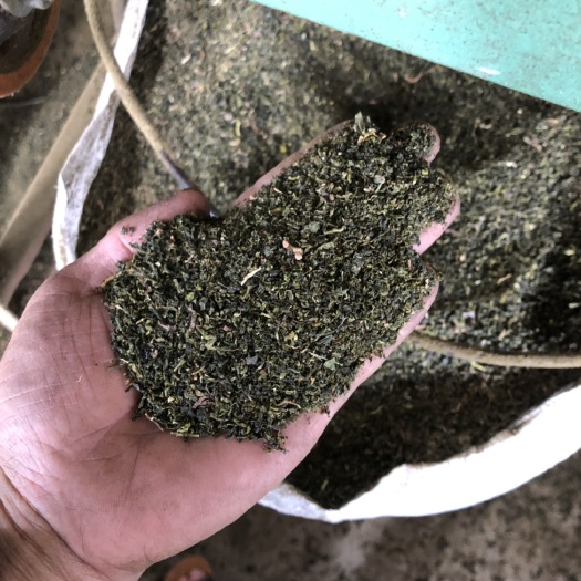 抹茶粉 绿茶粉 特级 袋装