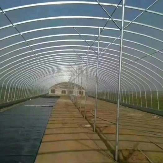 天津立柱