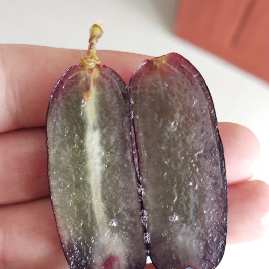泰安蓝宝石葡萄苗