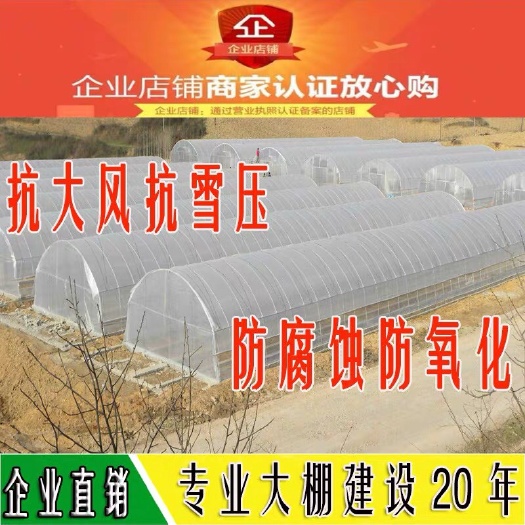 沭阳县钢管大棚