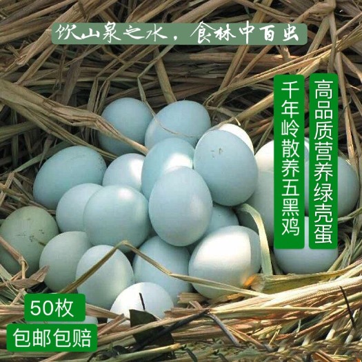 驻马店绿壳鸡蛋 食用 箱装