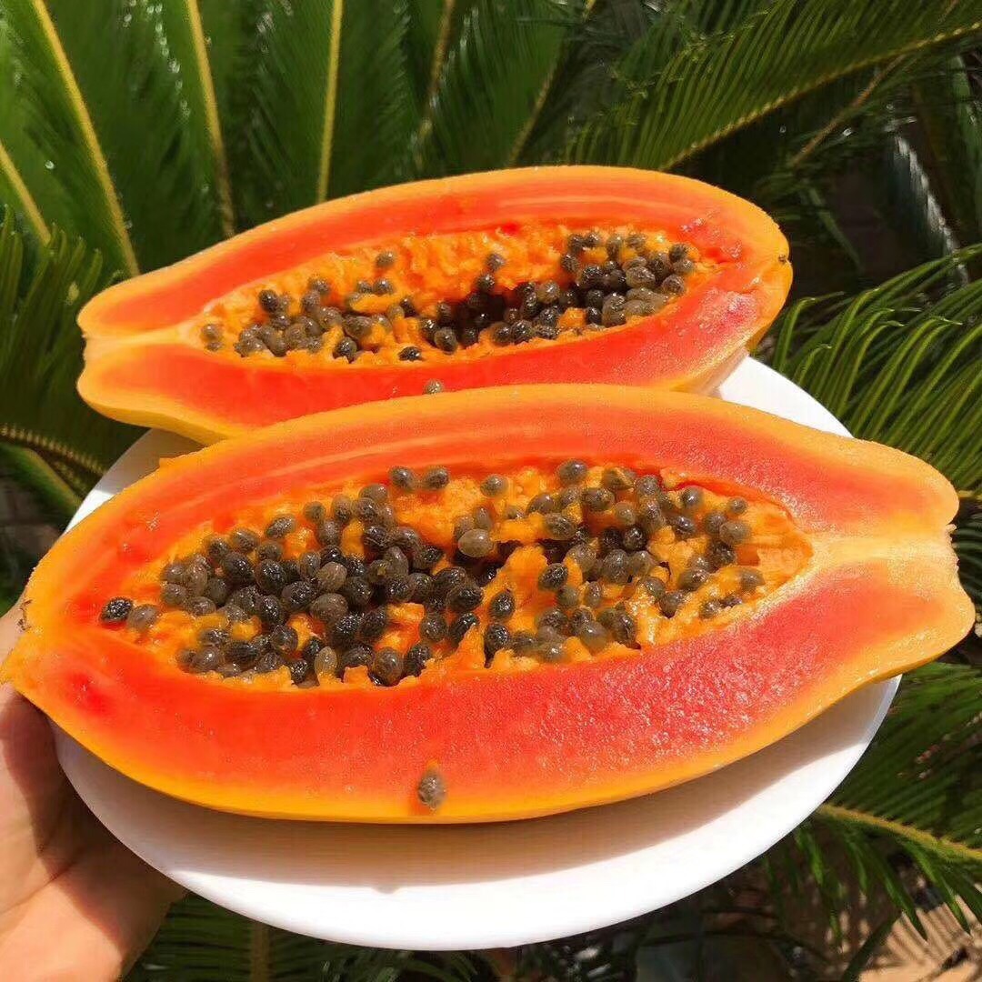 红心木瓜 1 - 1.5斤 海南产品，一件代发