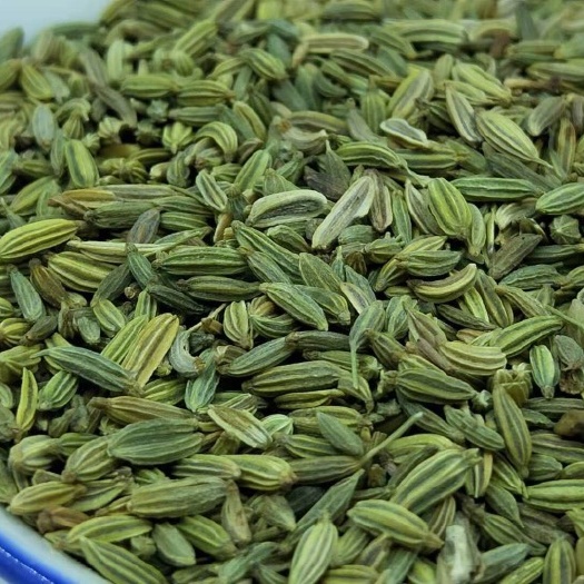 玉林香料茴香