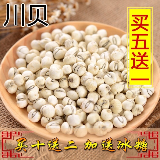 乐清市川贝母  ，买3送1，一袋50克润肺止 咳化 痰名贵中药材