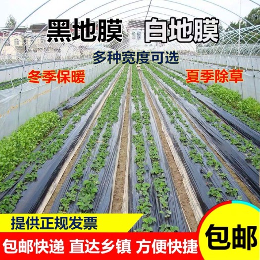 沭阳县棚膜