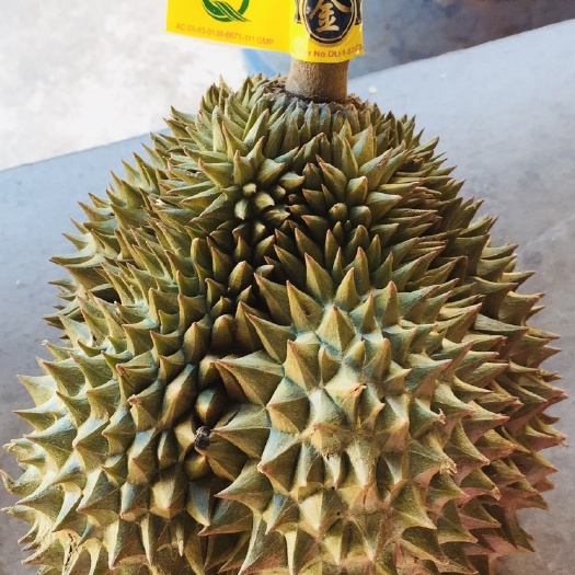 南京 泰国产地榴莲整柜发货一柜17吨