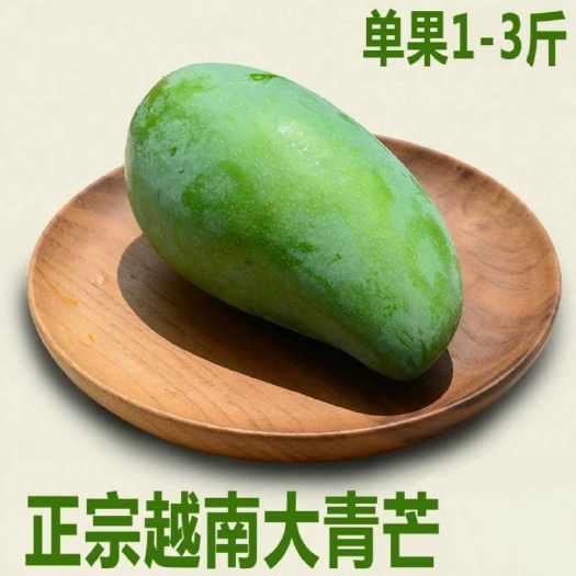 凭祥市 东南亚越南精品优选二级大青芒一级大青芒果