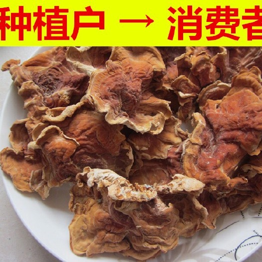 鱼台县榆耳 喻耳干货