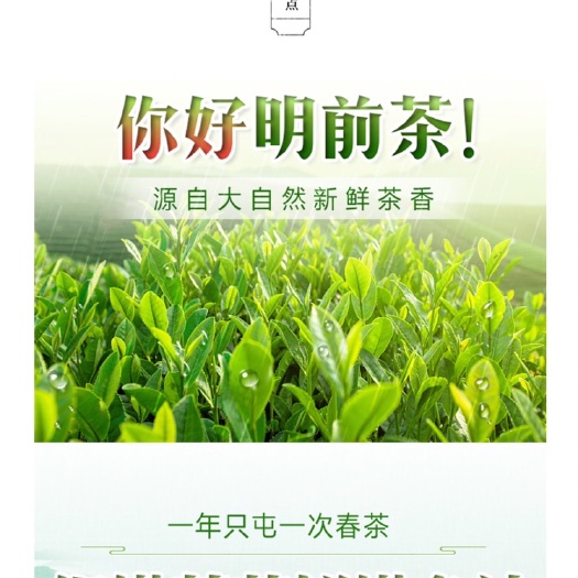 芒市云南绿茶 七彩云南芒市特产
