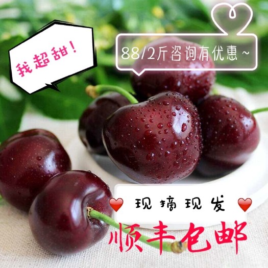 海阳市 有机新鲜大樱桃现摘现发当季～