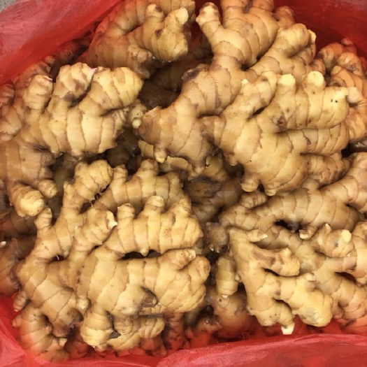 老姜 黄泥吧洗姜