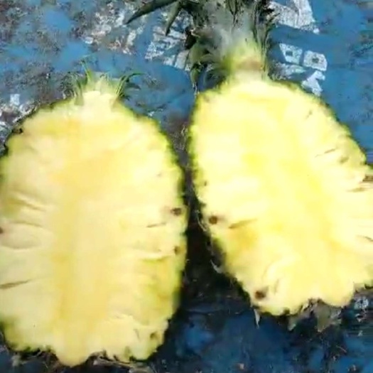 邯郸 菠萝