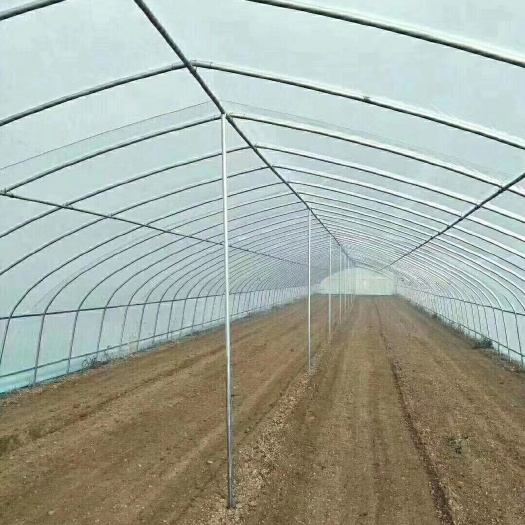 沭阳县单体棚 蔬菜温室大棚抗风抗雪质保10年！