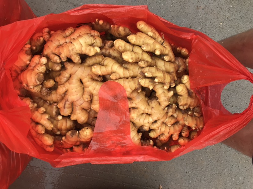 老姜 黄泥吧洗姜