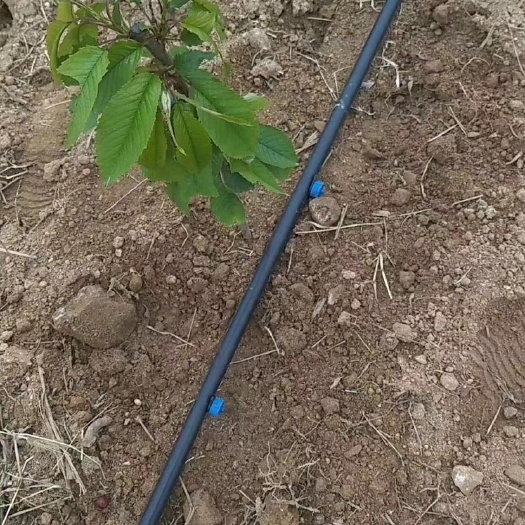 菏泽滴灌配件 滴灌过滤施肥器滴灌带 滴水带 灌溉管材 管件材料生产厂家