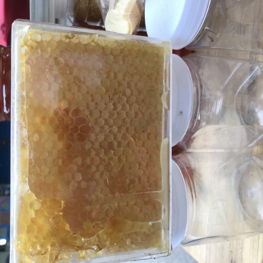荔浦市土蜂蜜 巢蜜。 封盖蜜 原蜜