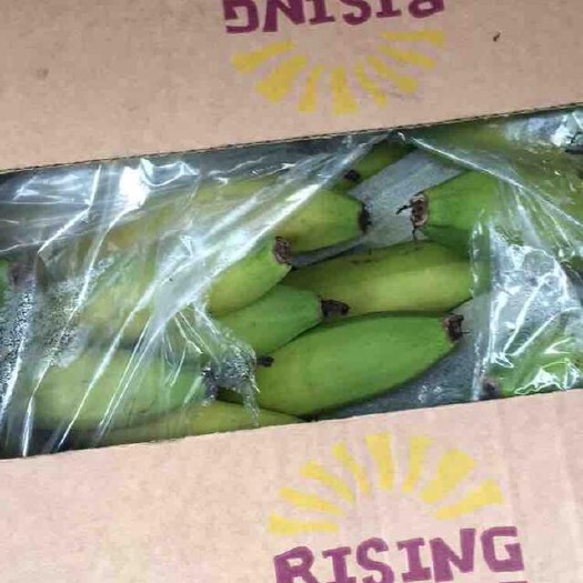 漳州 香蕉