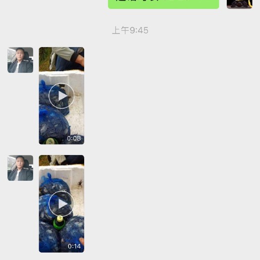 凤阳县 湖蟹苗批发