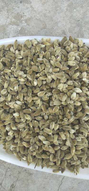 南召县辛夷 花批发小花统货 调料专用 五香粉 香料