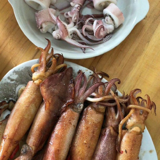 饶平县鱿鱼